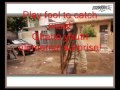Alborosie-Play Fool (To Catch Wise) Lyrics ...