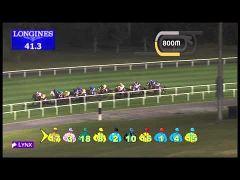 10.01.2013 Meydan (Dubai-UAE) 7.Race Longines Master Collection Moon Phases - 1.400 m