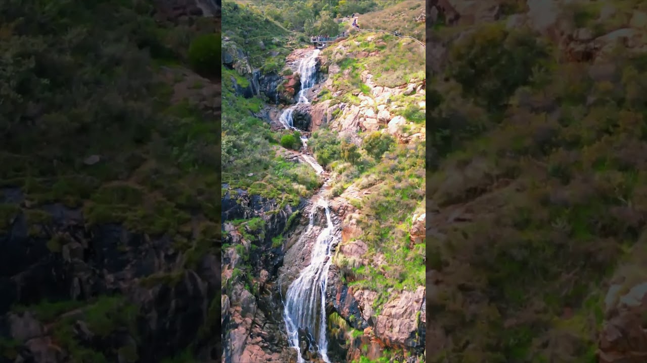 YouTube Short thumbnail