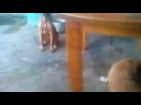 2 de octubre de 2020