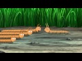 Centipede along millipedes. Family Guy S13E08