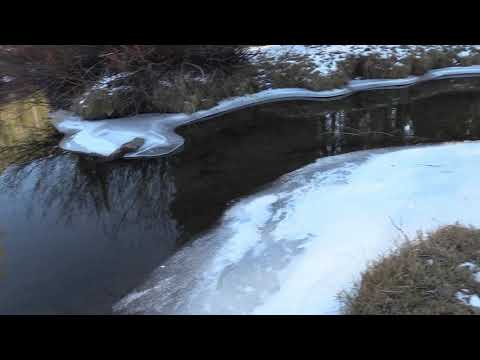 The Sinks Sasquatch Video Logan Canyon Utah