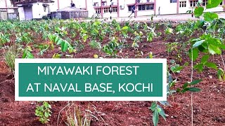 Mini-Dense Forest at Naval Base, Kochi