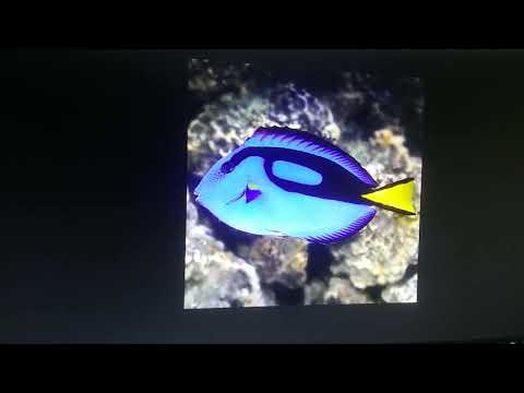 Finding Nemo Remake Part 26 Goodbye Dory