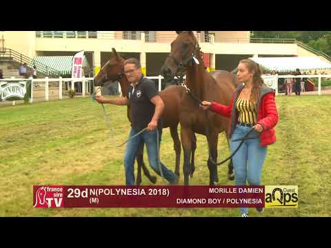 Show AQPS Ouest 2018 : Lot 29d - N(POLYNESIA 2018)