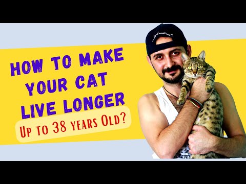 How To Make Your Cat Live Longer 🐱 (10 NATURAL WAYS)