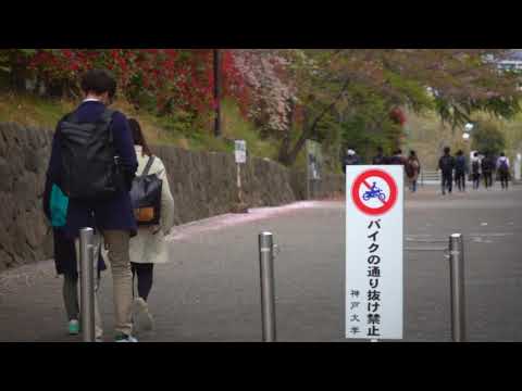 [ 第五回 ] 行き交う道