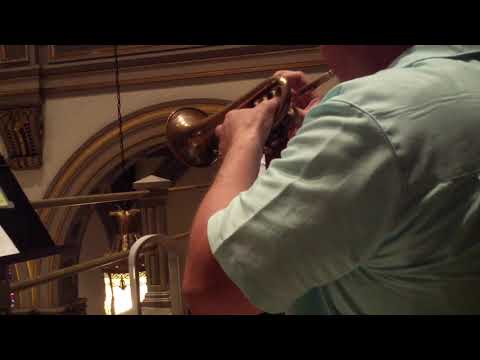 Albinoni St. Marc. Concerto Movement 1 Performed by Brian Strawley ZOOM0013