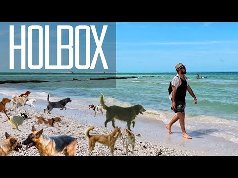 In einem geheimen Paradies ohne Autos und mit unzähligen Hunden (Holbox, Mexiko)