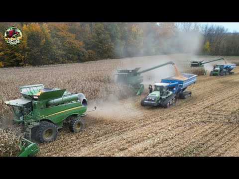 Big Time Corn Harvesting with 3 John Deere Combines