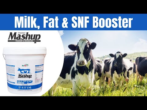 Chelated minerals mixture powder and granules for cattle, co...