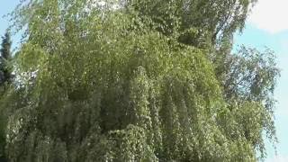 Der Sommer ist vorbei!