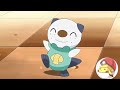 Oshawott Funny Moments Pokemo Funny Moments