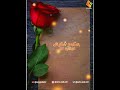Ennai Thalattum Sangeetham Whatsapp Cut Song Machimedia007