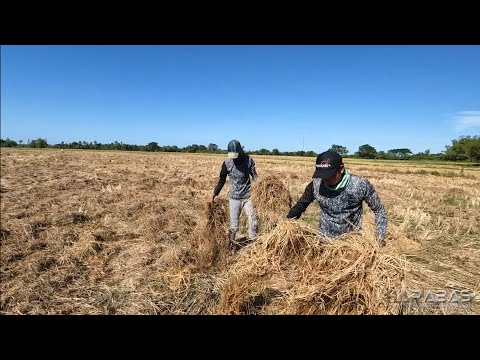 EP805-P1 - Pag-Alip-Ip ng Pakwanan | Occ. Mindoro