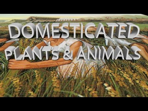 HIST 1121 Lesson 9 - Domesticated Plants & Animals