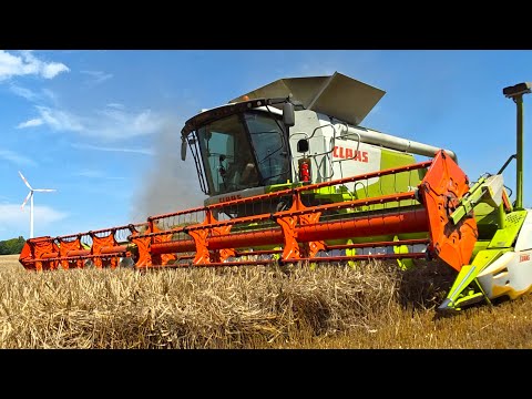 Claas Lexion 770 mit Vario 1050 + Terra Trac APS Hybrid Harvester bei Sommergeste dreschen!