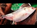 How To Cut A Big Hilsa Ilish Fish With Egg By Expert Fish Cutter Fish Cutting Skills