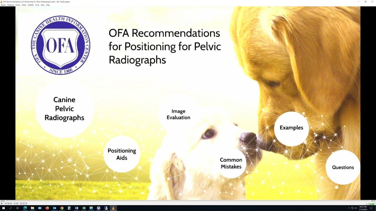 OFA Recommendations for Positioning for Pelvic Radiographs