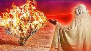 CTMU BIBLE: Moses and the Burning Bush (I AM WHO I AM)