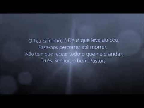 411 Nós  Somos Teus Harpa Cristã com legenda