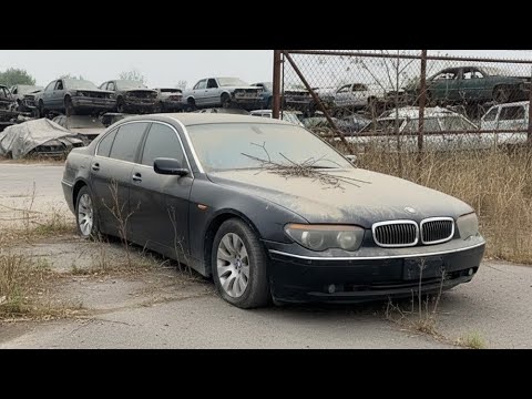 The world of Spiro's  and 2 more