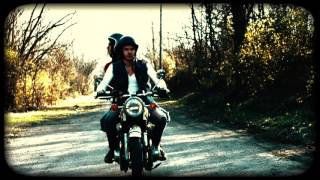 The Grahams - The Wild One (Official Video)