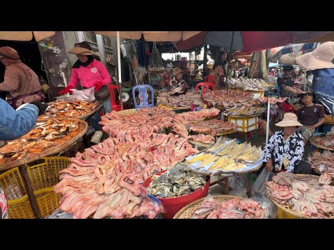 Cambodian Dry Fish Market @Kilo 9 - Plenty Dry Fish, Dry Frog, Dry Beef, Dry Buffalo & More Dry