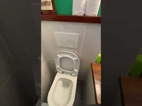 🚽 Impressed by the button 👽 #toilet #flushes #buttons #technology #toilets #button #press #travel
