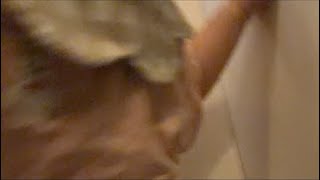 さよなら日曜 特別編 こひげさんと。