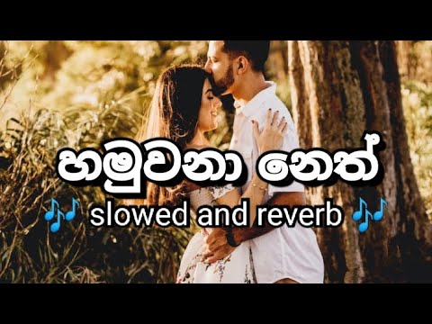 හමුවෙනා නෙත් දහක් අතරින් | Hamuwena neth dahak atharin song | new song sinhala | new song | trending