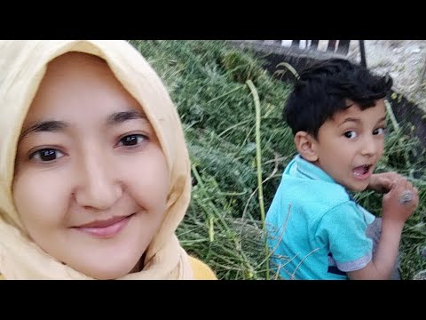 |My village| vlog| village life| Rural | nature| greenary| irrigation| Hakima Banoo Ali