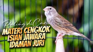 Download lagu MATERI CENGKOK ISIAN JAWARA LOMBA ! MASTERAN KENARI ISIAN BLACKTHROAT GACOR DURASI PANJANG IDAMAN mp3
