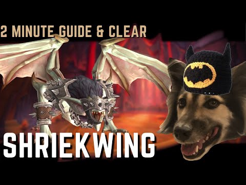 SHRIEKWING Normal - 2 Minute DPS Guide & Full Fight