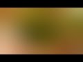 Our Wonderful World Kids Songs And Nursery Rhymes Babykidstv1