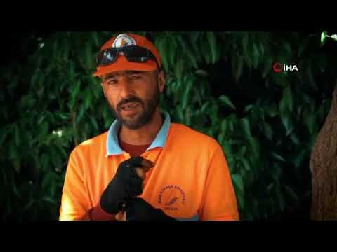 Antalyalı temizlik işçisi fenomen oldu, belediye özel klip çekti