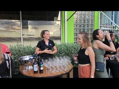 Dive into Curacao: Tasting Session by Kafino | A Wine Lover's Paradise