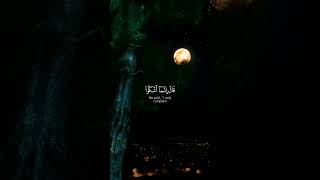 آيات من سورة يوسف بصوت القارئ محمد صديق المنشاوي