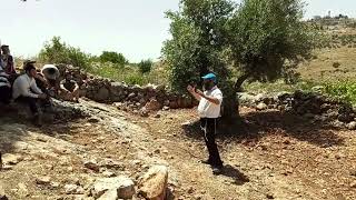 נחל שילה - נחל צרידה
