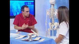 Doctor Pie - Mitos y verdades de las plantillas