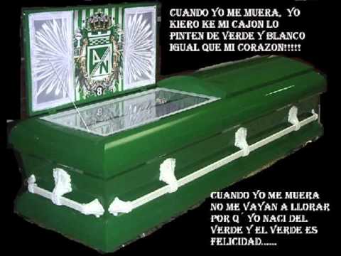 aniitha2013’s Video 105006857539 1m3TckAetSs