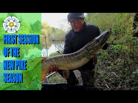 An Anglers Diary with A Moment in Time Channel - Chapter 148 - Pike Fishing