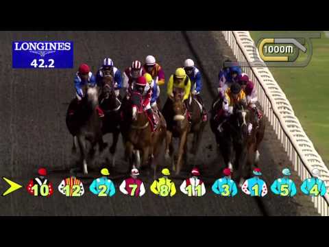 07.11.2013 Meydan (Dubai-UAE) 4.Race Emirates Airline - Handicap 1.600 m