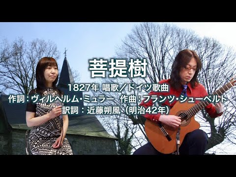 菩提樹
