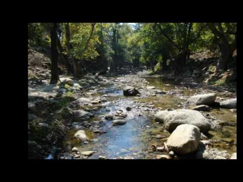 One drop - Natural mystic