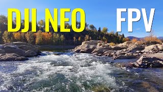 DJI NEO | Capturing Autumn FPV Style