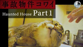 [問卦] 有人還記得uso japan嗎？