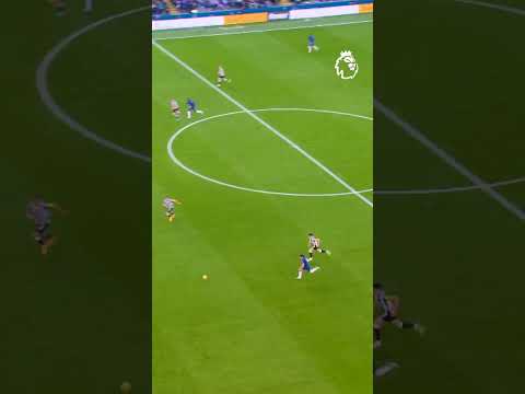 Palmer’s Unbelievable Vision 👀