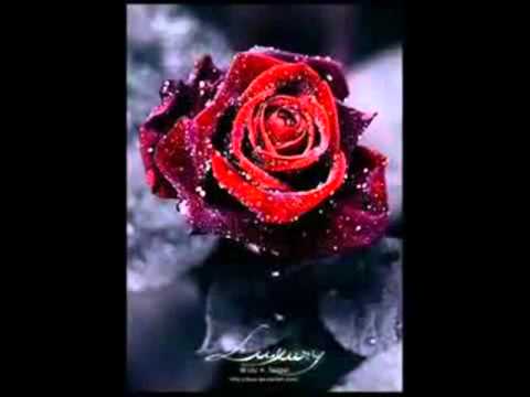 happy birthday gurpreet.wmv