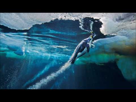 🎵 Alex Wurman - Arrival At Sea 🎵